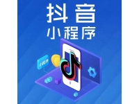 抖音小程序赚钱最新实战课程