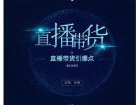 王通《直播带货引爆点》