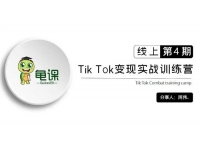 龟课《TikTok变现实战训练营线上第4期》