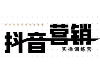 红人星球：12天线上抖音营销实操训练营