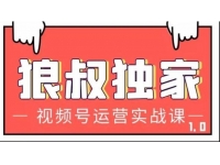 狼叔视频号运营实战课1.0