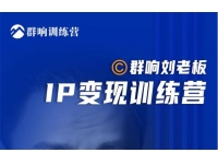 群响刘老板《IP变现训练营第6期》