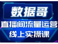 数据哥《直播间流量运营线上实操课》