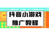 皓华《抖音小游戏推广教程》