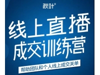 秋叶《21天转型线上直播训练营》