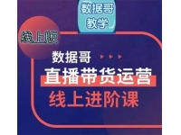 数据哥《直播带货运营线上进阶课》