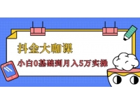 抖金大咖课：少奇全年52节抖音变现魔法课，小白0基础到月入5