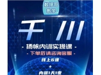 数据哥《千川扬帆内训实操课》