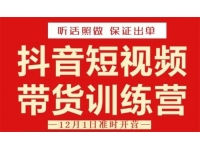 李鲆《抖音短视频带货训练营》