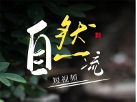 瑶瑶《自然流短视频教程》