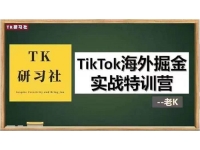 TK研习社《TikTok海外掘金实操特训营》