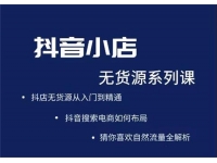圣淘电商《抖音小店无货源系列课程》