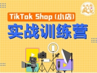 疯人院《TikTok Shop小店先疯训练营》