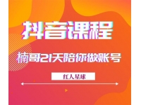 红人星球《楠哥21天陪你做账号》