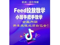 合仕传媒《Feed小班手把手投放教学 》